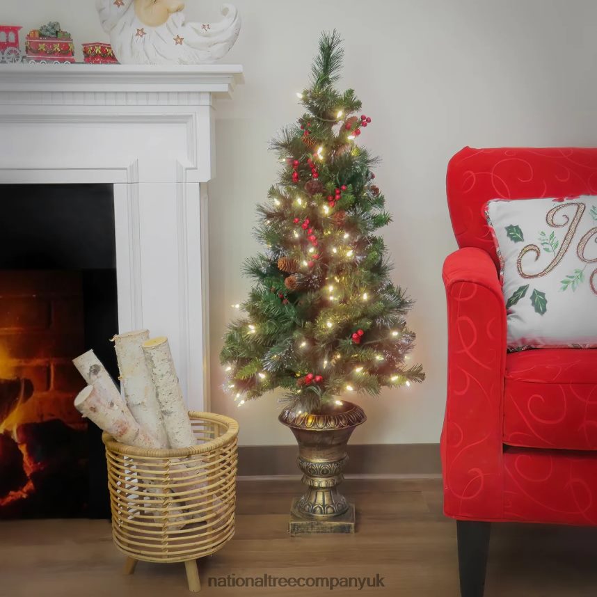 Trees | National Tree Company 4 ft Crestwood Spruce Entrance Tree with Warm White LED Lights F2L4F10